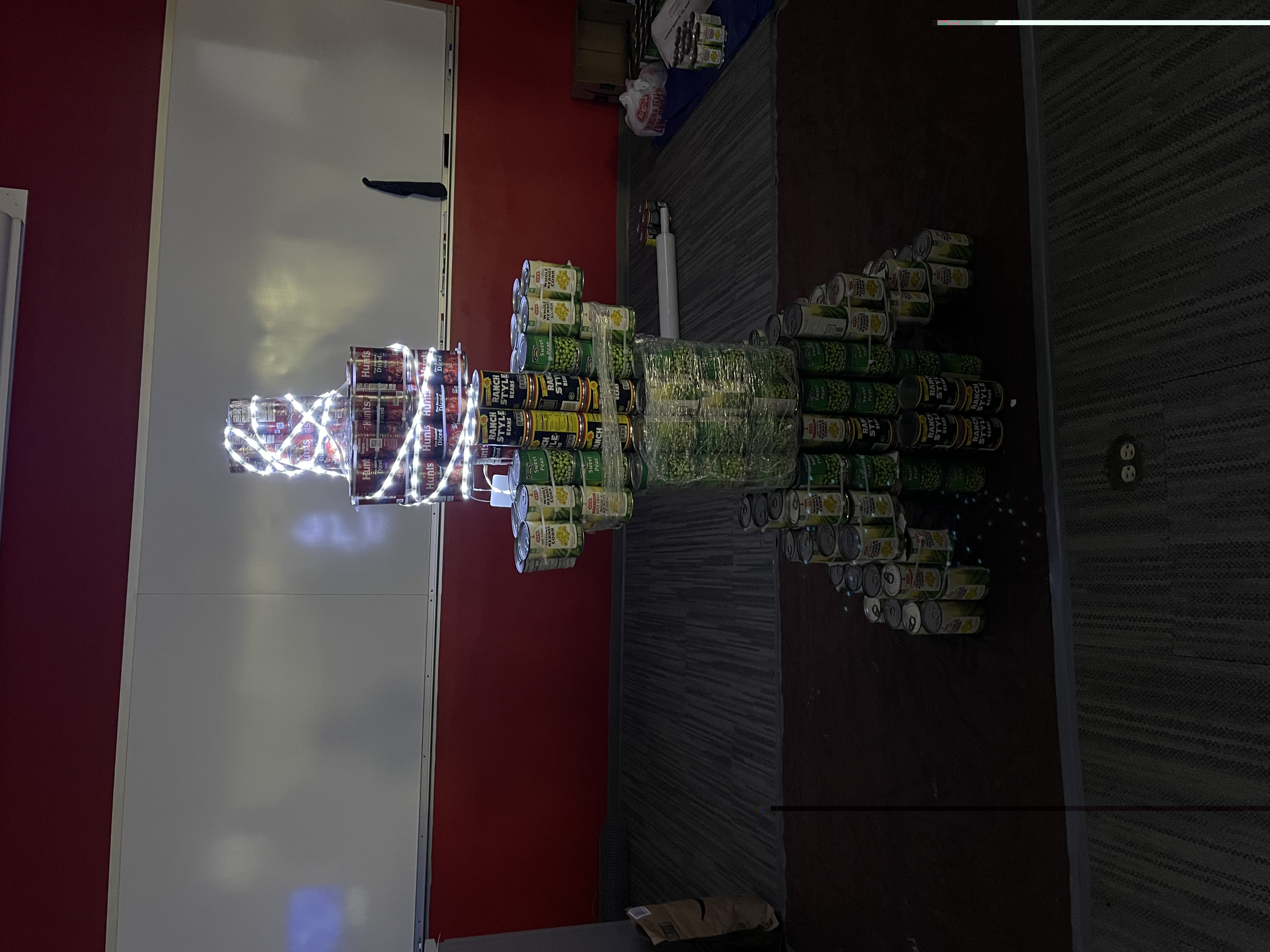 The students' "Canstruction" creation